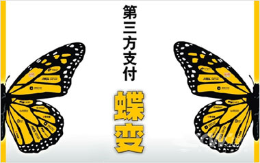 第三方支付蝶变