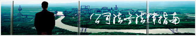 公司上市
