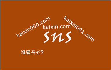 开心网，谁更开心？